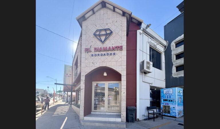 Imagen 11 12 25 a las 10.25 a.m 768x451